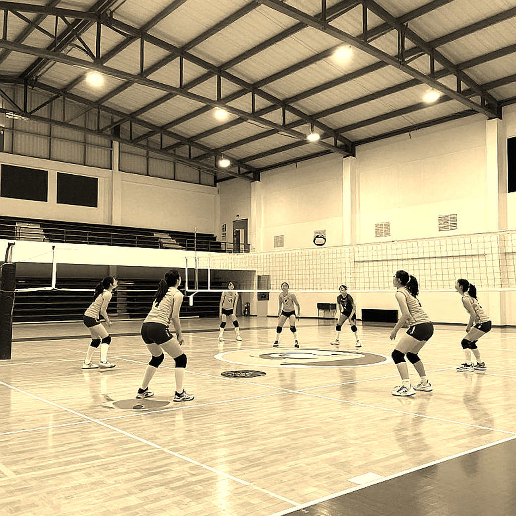 SMU hạ số 2 Pitt: khối chắn 12.5-6 phá chuỗi 58 trận bất bại trên sân nhà