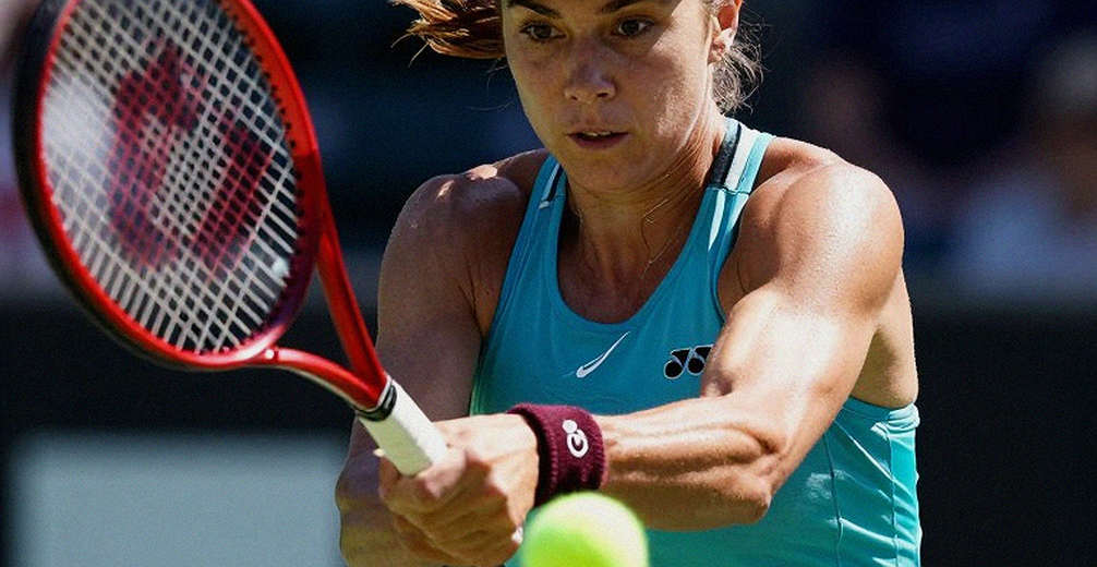 A Gold Price Sheet Wearing a Tennis Label: The Error Was in the Tag, Not the Number A Gold Price Sheet Wearing a Tennis Label: The Error Was in the Tag, Not the Number