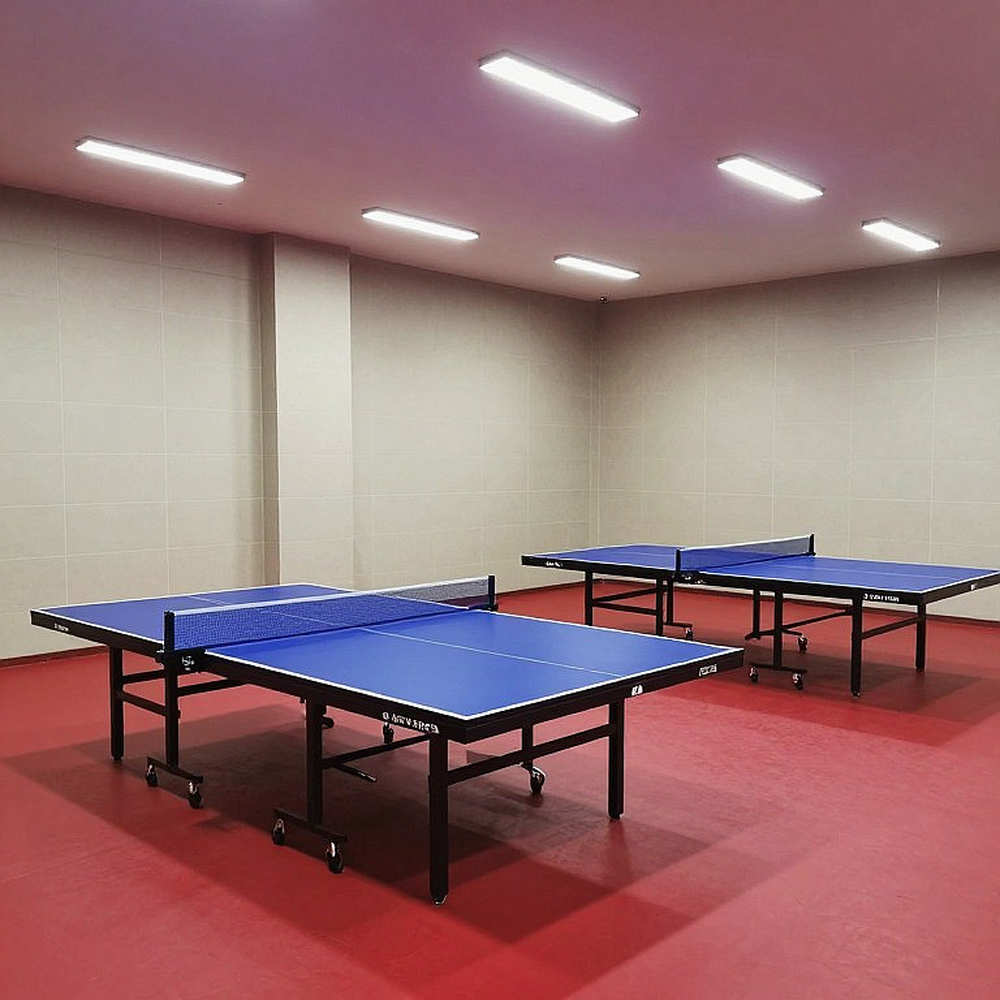 Four Days in North Macedonia: China Exports an Entire Table Tennis System to the Balkans Four Days in North Macedonia: China Exports an Entire Table Tennis System to the Balkans
