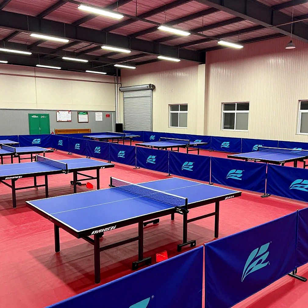 Bóng bàn thế giới sau Paris 2026: Luật WTT, khoảng trống thế hệ và nhịp chuyển từ sân tập