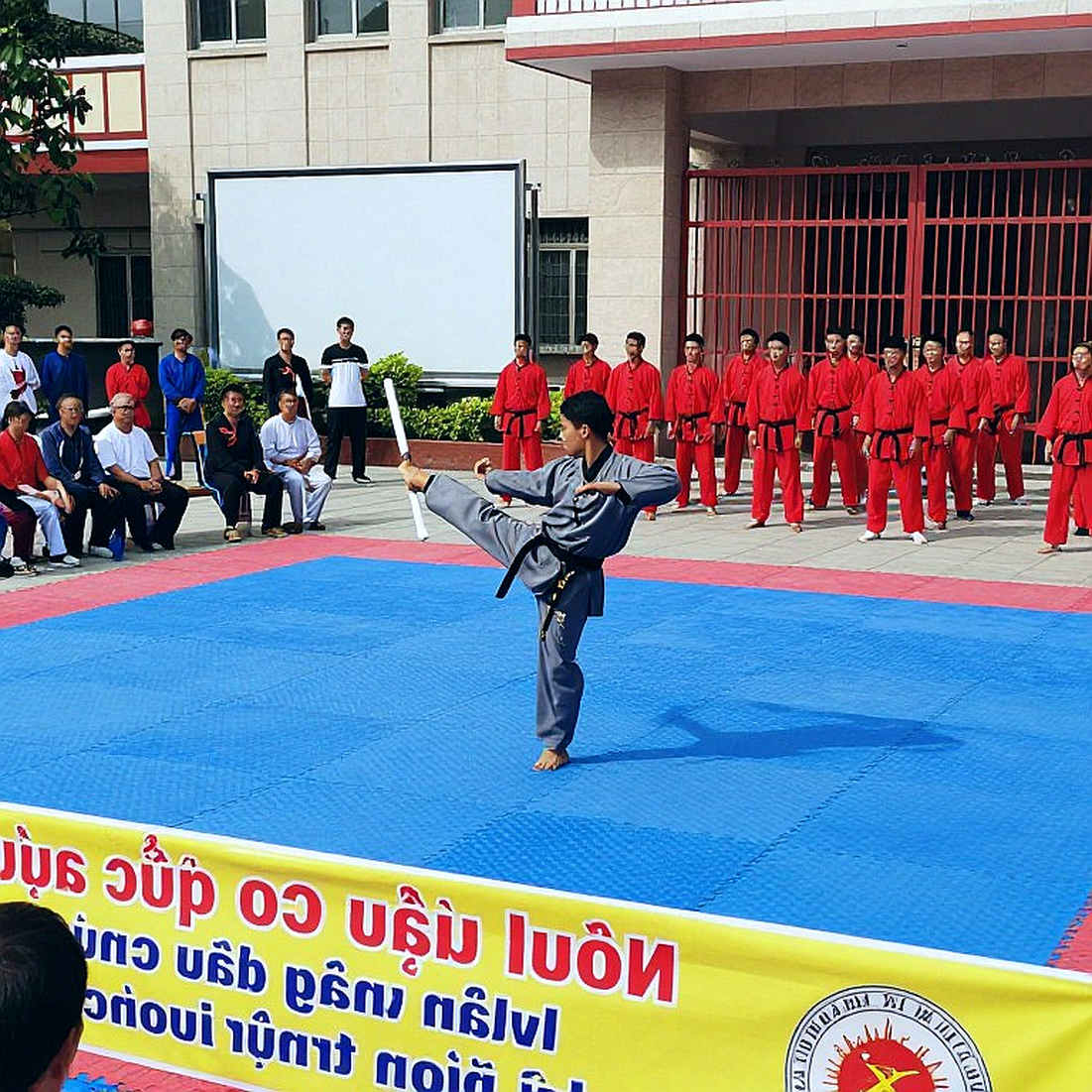 Phác đồ chấn thương võ thuật Việt Nam: Tám chiều phân tích còn bỏ trống trên sàn đấu